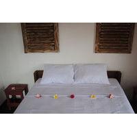 friendly house bali hostel