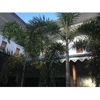 Friends Guesthouse Negombo