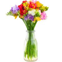 Freesia Fusion Bouquet