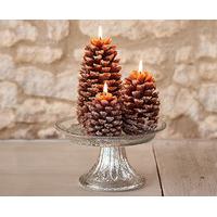Frosted Pine Cone Candles (3), Brown