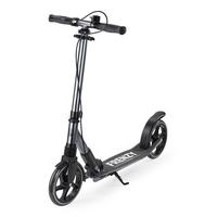 Frenzy 205mm Dual Brake Folding Scooter - Titanium