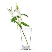 Friendship Vase