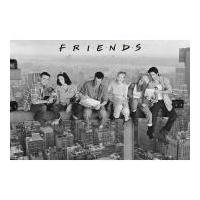 Friends On Girder - Maxi Poster - 61 x 91.5cm
