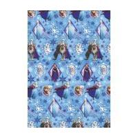 Frozen Wrapping Paper 2 m