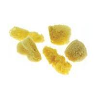 Frisk Natural Water Sponges 5 Pack