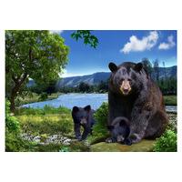 Fridge Magnets - 3d Magnet - Black Bears - 17333 - Wild Republic