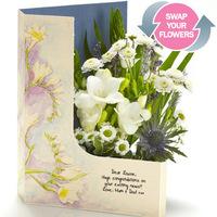 Freesia Dreams