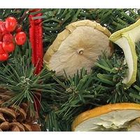 Fruit and Cone Wreath