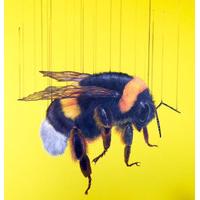Free Bee By Louise McNaught