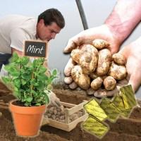 Fresh Jersey Royal Potatoes 4lbs (1.8kg) + Jersey Mint + Butter with Diary