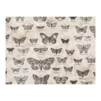 Free Spirit Tim Holtz Eclectic Elements Butterflight Quilting Fabric Taupe