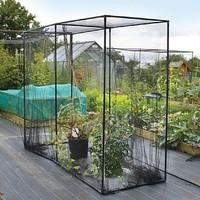 Fruit Cage Size - Medium