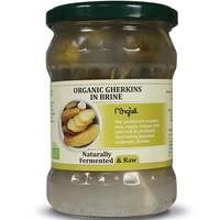 FRESH - Morgiel Gherkins in Brine (500g)