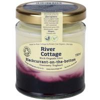 fresh river cottage blackcurrant yoghurt 190ml