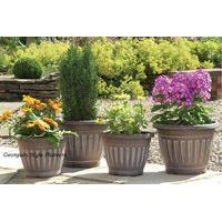 From £9.99 for two basket weave pots, two half barrel pots (£13.99) or four Georgian style pots (£14.99) from Ckent Ltd - save up to 23%