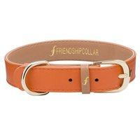 friendship collar collar bracelet set classic pup arancia