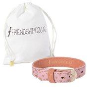 Friendship Collar Puppy Love Bracelet