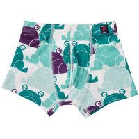 Frog Print Kids Boxer Shorts - Green quality kids boys girls