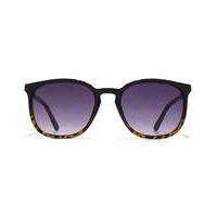 french connection preppy sunglasses