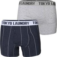 Fraser Island ( 2 Pack) Boxer Shorts in Grey Marl / Indigo Marl Stripes - Tokyo Laundry
