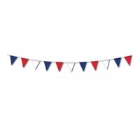 France Coloured Pennant Bunting