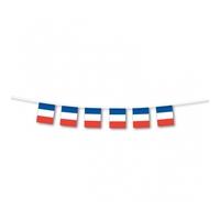 France Small Flag Bunting