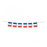 France Flag Bunting