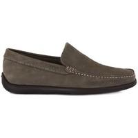 Frau Piuma Taupe men\'s Loafers / Casual Shoes in Brown
