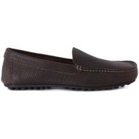 Frau Brio Treccia Legno men\'s Loafers / Casual Shoes in Brown
