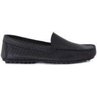 Frau Brio Treccia Nero men\'s Loafers / Casual Shoes in Black