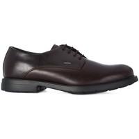 frau dowson mens smart formal shoes in brown