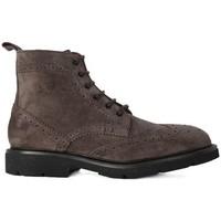 frau suede ebano mens low ankle boots in multicolour