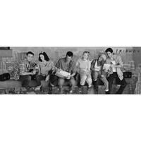 Friends Door Poster 318