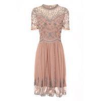 Frock and Frill Yalena Embellished Skater Dress in Blush