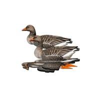 fud decoys 3d photo real with ground spikes and hooks pack of 6