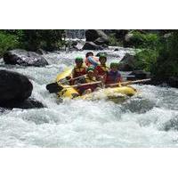 full day telaga waja river white water rafting with buffet lunch