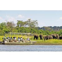 Full-Day Chobe National Park Tour from Victoria Falls