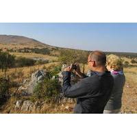 Full-Day Serengeti Tour from Mwanza