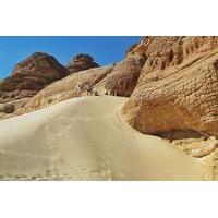 Full Day Sand Dunes Safari from Dahab