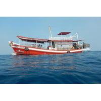 full day dive adventure in national marine park koh rang including 2 d ...