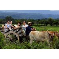 Full-Day Local Countryside Life Experience from Bangkok