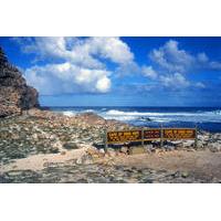 full day cape peninsula sightseeing tour from cape town