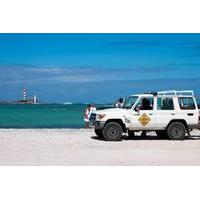 Fuerteventura Secret Beaches Tour by 4x4