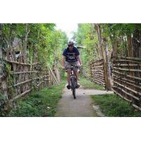 Full-Day Bali Off the Beaten Track Bike Tour