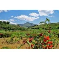 full day camels hump hike from bergville