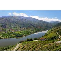 Full-Day Tour: Douro Valley Trip from Porto