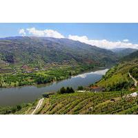 full day tour douro valley trip from porto