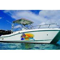 Full Day Private Boat Charter from St John