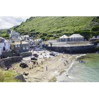 Full-Day Guided Private Port Isaac, Padstow and Tintagel Tour from Devon