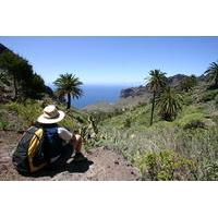 Full Day Tour of La Gomera